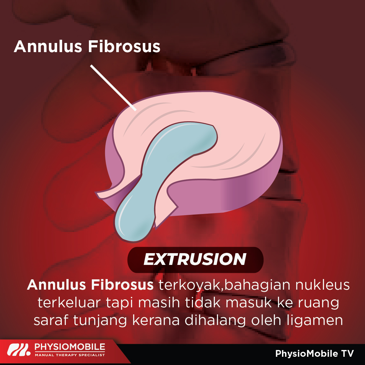 102939015 2592600640953149 1654620611600782165 n